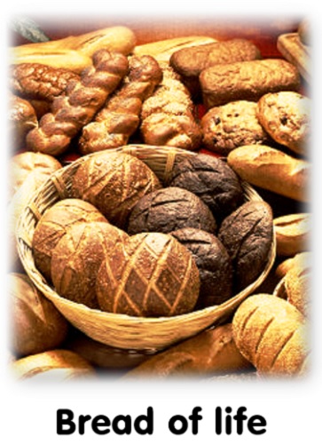 Bread of Life – A tract – Traktat.nu